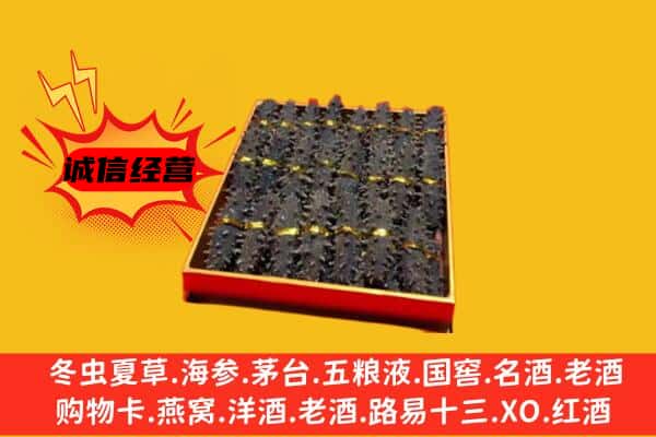 齐河县回收海参